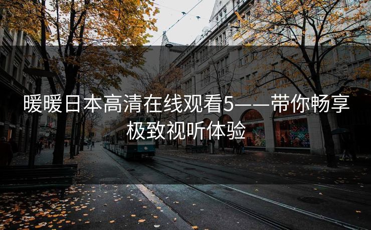 暖暖日本高清在线观看5——带你畅享极致视听体验