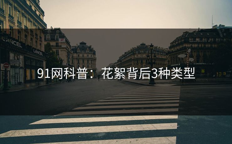 91网科普：花絮背后3种类型