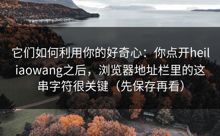 它们如何利用你的好奇心：你点开heiliaowang之后，浏览器地址栏里的这串字符很关键（先保存再看）